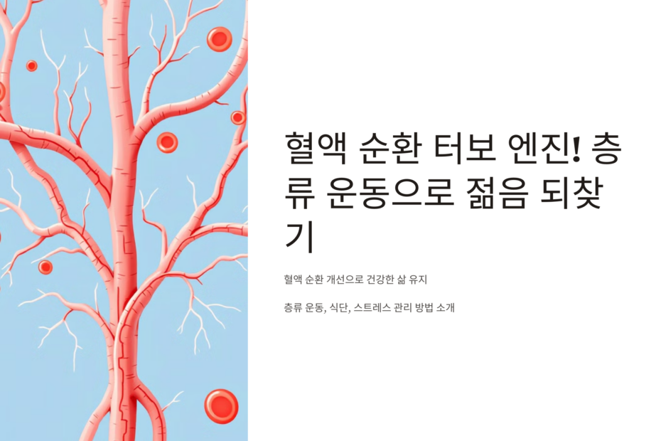 혈액 순환 터보 엔진! 층류 운동으로 젊음 되찾기